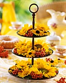 Tiered metal stand with sunflowers and Rudbeckia