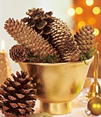 Spruce and pine cones in gold cache-pot