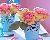 Roses in blue metal pots - table decoration