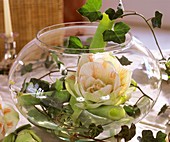 Round glass vase with Amaryllis and trailing ivy