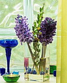 Glass vase of hyacinths, box and Cornus