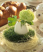 Easter nest with duck egg and Viburnum; bread plait