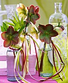 Lenten roses in glass bottles decorated with ribbons