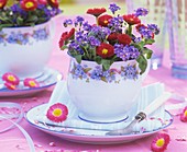 Forget-me-nots and daisies in cup