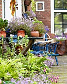Various plants in pots and furniture in inner courtyard of a town house
