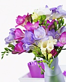 Freesias in vase