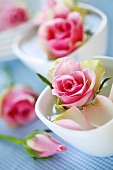 Roses in small dishes (table decorations)