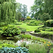 Sommerlicher Garten mit Teich