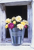Roses in a bucket