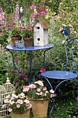 Flowers and bird house on garden table