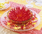 Red dahlia in glass bowl