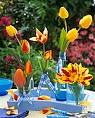 Tulips in bottles and glasses on pale blue tray
