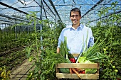Grower in greenhouse carrying crate of vegetables