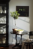 French-style living room with little olive tree on old bistro table
