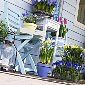 Various types of spring flowers in pots on a balcony