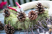 Christmas wreath with pine cones