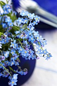 Forget-me-nots in vase on table