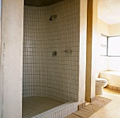 Ein Badezimmer mit Duschbereich
