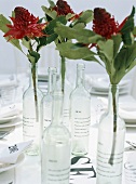 Flower stems in glass bottles