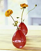Zwei rote Vasen mit Ranunkeln
