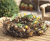 Table wreath with narcissus bulbs