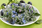 Wreath of borage, sage and plums