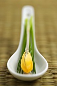 Asian soup spoon with yellow flower