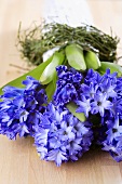 Hyacinths