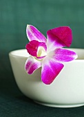 An orchid resting on the rim of a small bowl