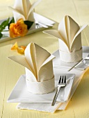 Napkin folding design: 'Lily'
