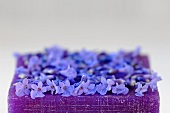 Lavender flowers on lavender soap