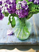 Blumenstrauss mit lila Blüten in einer Vase