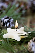 Star-shaped candle among pine branches and cones