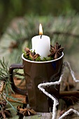 Candle in a mug with moss and star anise