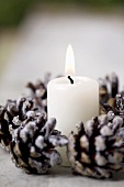 Burning candle in a ring of sugared fir cones