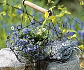 Bunch of wild flowers in a wire basket on stones
