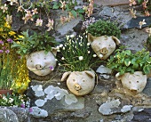 Various herbs in pig flowerpots in garden