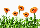 Poppy flowers in a field (composition of salmon, herbs and caviar)