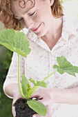 Young woman with courgette plant