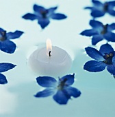 Lit floating candle surrounded by blue flowers