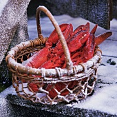 Lobsters in basket