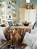 Ein Hund sitzt auf dem gemütlichen Polstersofa vor dem Küchen- und Essbereich des offenen Wohnraums