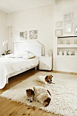 Zwei Hunde auf Flokatiteppich in monochrom dekoriertem Schlafzimmer mit Doppelbett und Wandnischen