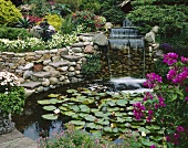 Garden with pond and waterfall