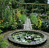 Small water lily pond in garden