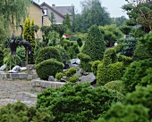 Ornamental garden with clipped box