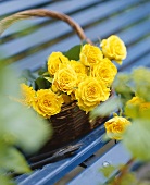 Bunch of yellow roses in basket