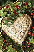 Bird food in the shape of a heart