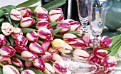 Pink tulips and glasses on a table