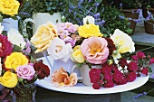 Mixed roses in various containers out of doors